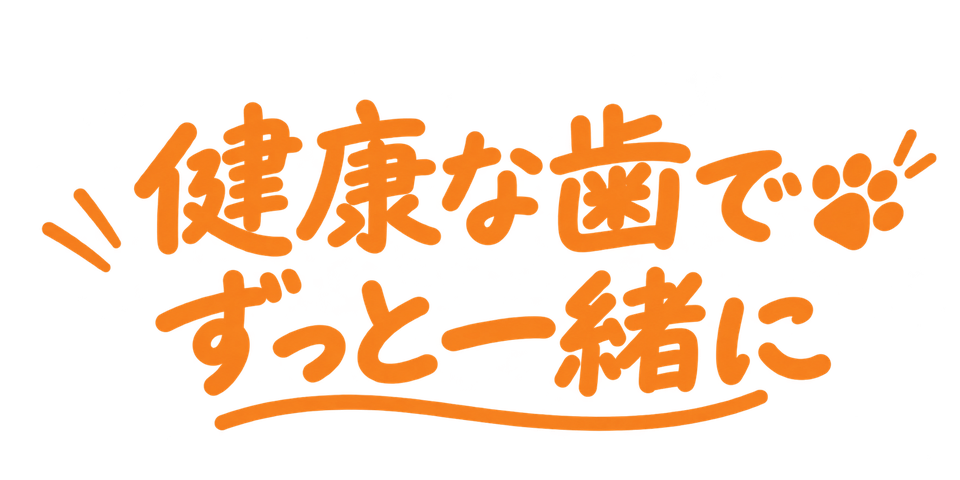 健康な歯で
ずっと一緒に