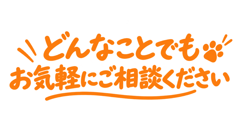 どんなことでも
お気軽にご相談ください