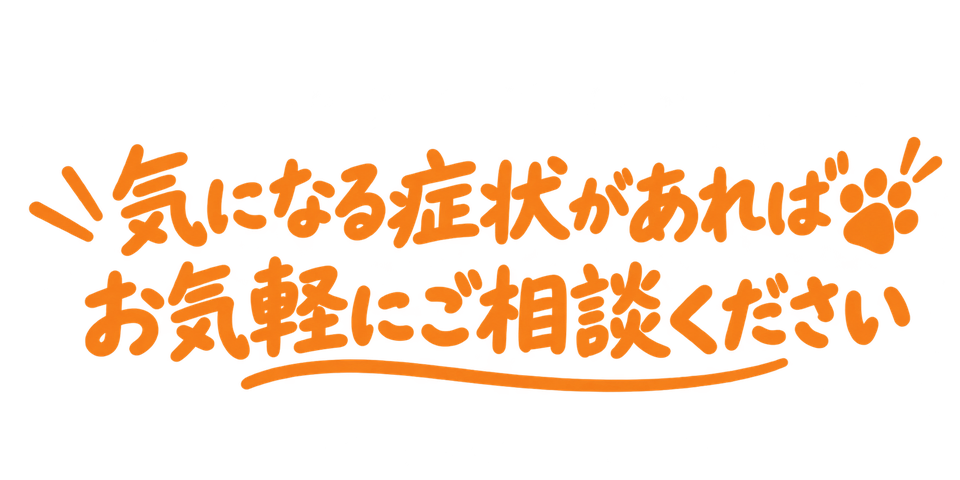 気になる症状があれば
お気軽にご相談ください